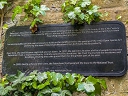 Petersham Meadows - Tollemache family - Brasher, Chris